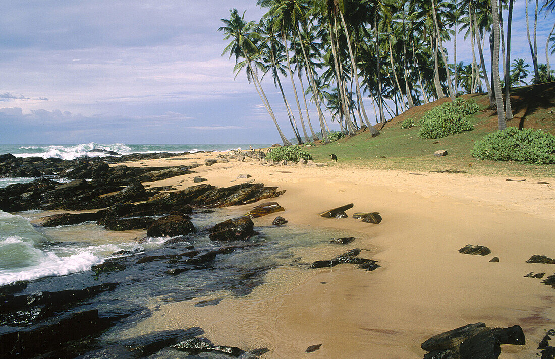 Tangalla. South coast. Sri Lanka