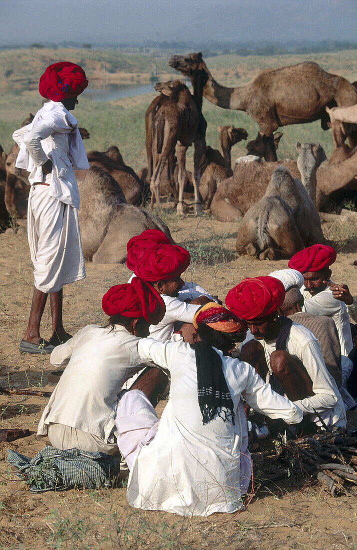 Camel fair, Pushkar. Rajasthan, India