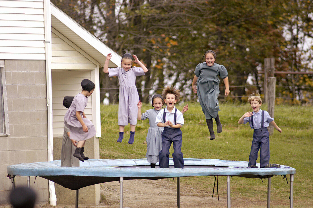 Amish of the American Heartland: Ohio, Indiana, Pennsylvania. Family at market