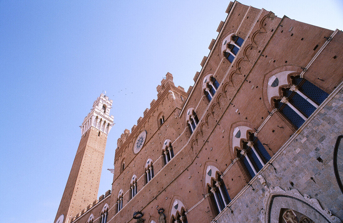 Torre del Mangia in Piazza del Campo. Siena. Tuscany. Italy