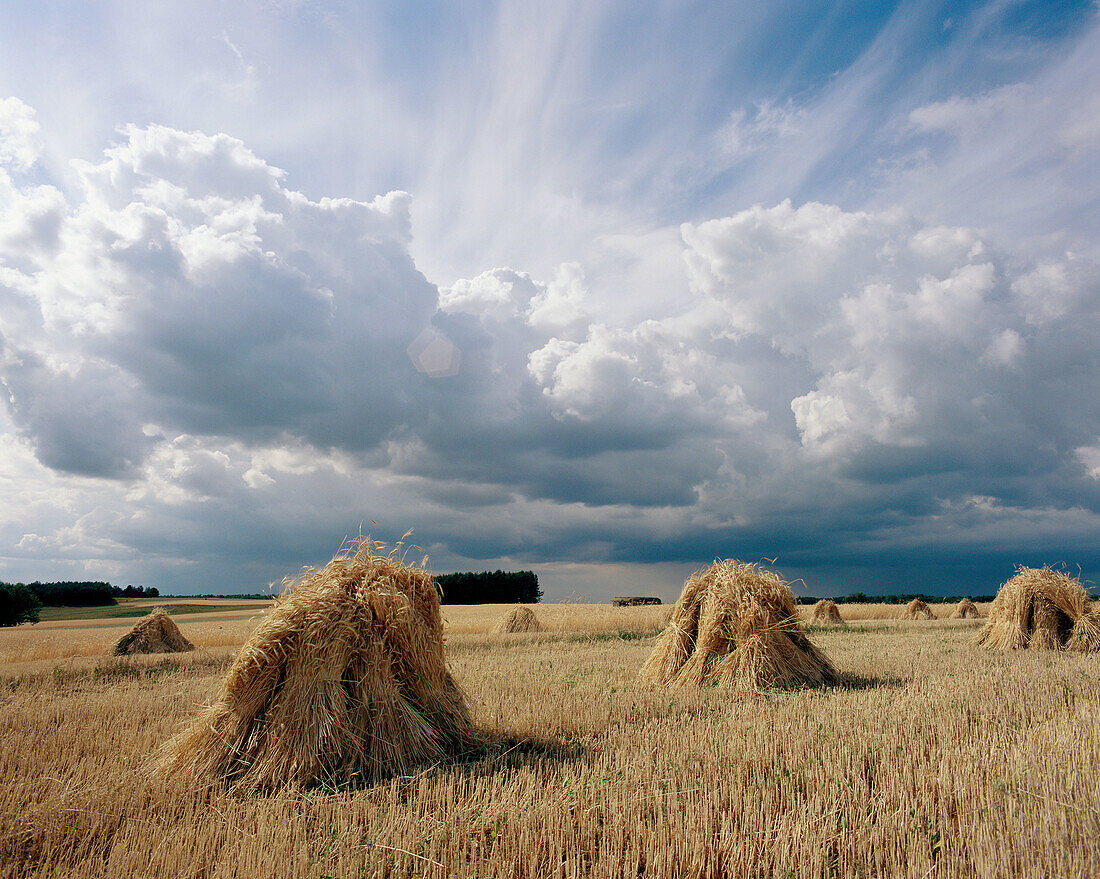 After the harvest. Eastern Poland.