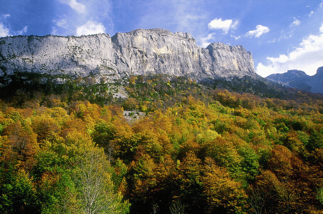 Valle de Zuriza. Huesca province. Aragón. Spain