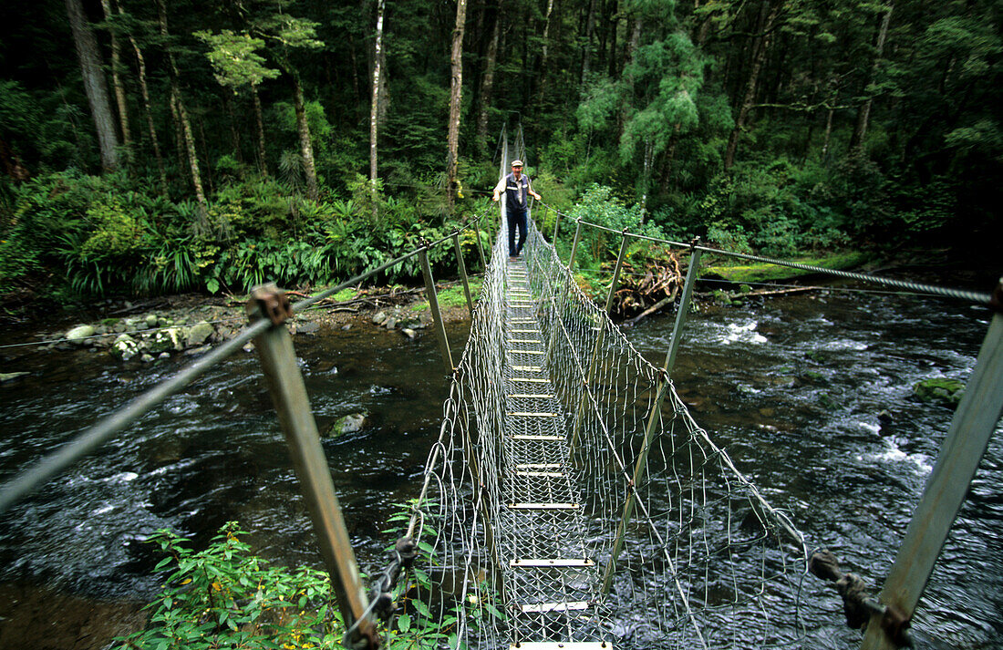 Hängebrücke über dem Catlin River, Catlin Forest Park, Neuseeland