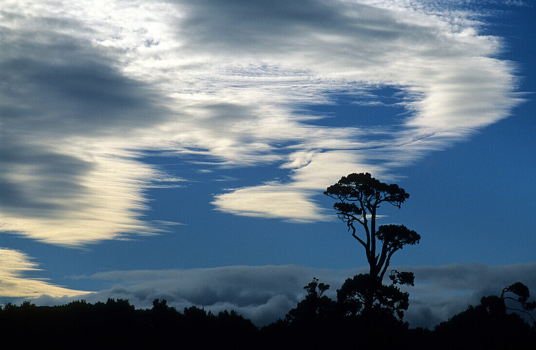 Sturmwolken über der Catlin Küste, Neuseeland