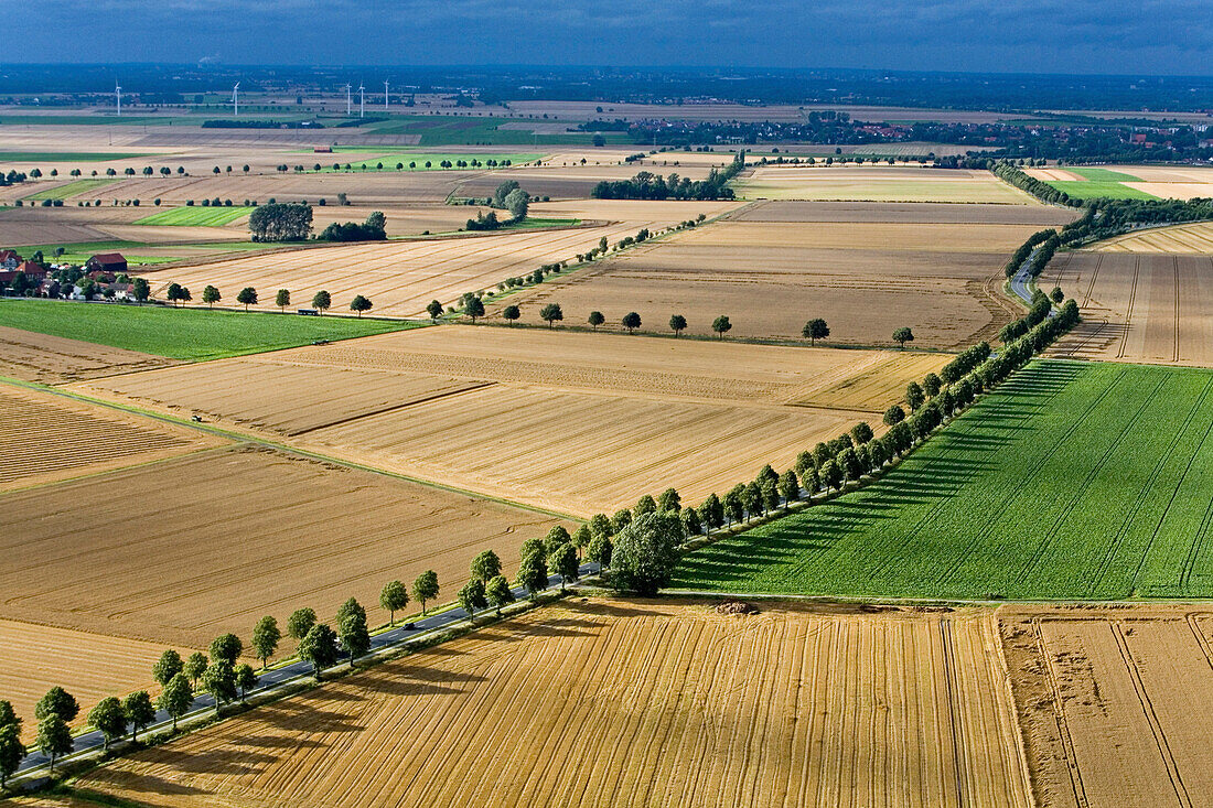 Aerial shot of country road between fields, Calenberger Land, Lower Saxony, Germany