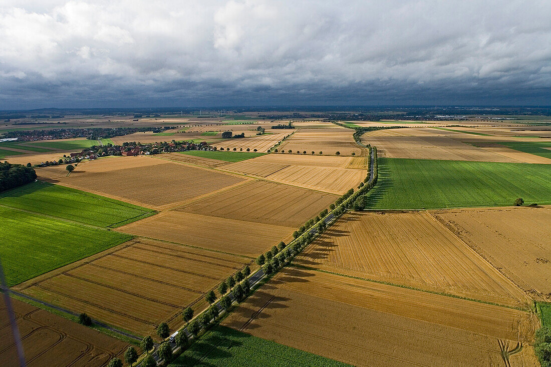 aerial view of fields in Calenberger Land, tree-lined country road, region Hanover, Lower Saxony, northern Germany
