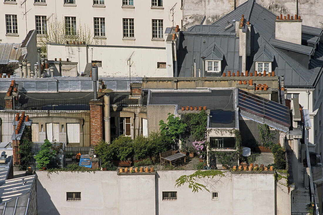 Rooftop terrace garden, rooftops of Paris, Paris, France