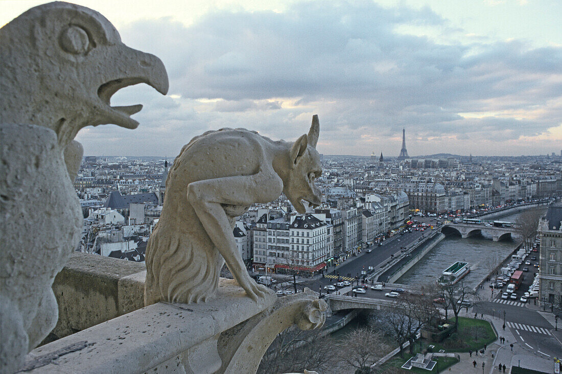 viView from Notre Dame cathedral, gothic cathedral with gargoyle, Drolerie, 4e Arrondissement, Paris, France