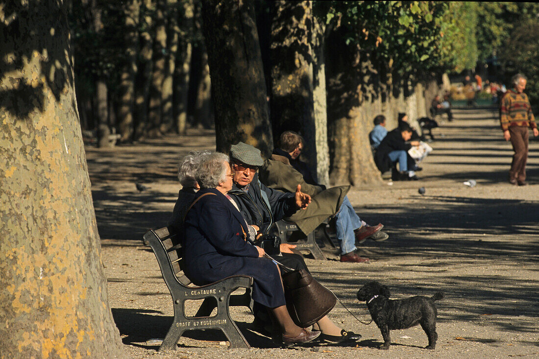 Elderly couple sitting on park bench, Jardin des Tuileries, Autumn, 1e Arrondissement, Paris, France