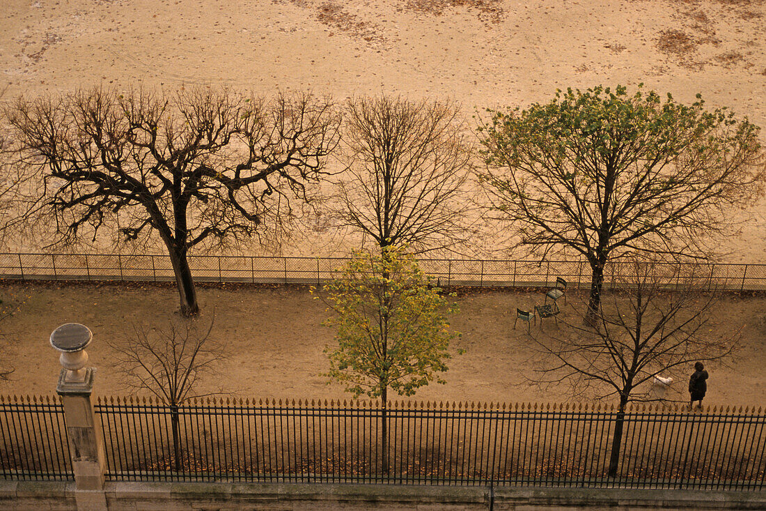 Tuileriengarten, Allee, Herbst, 1.Arrondissement, Paris, Frankreich