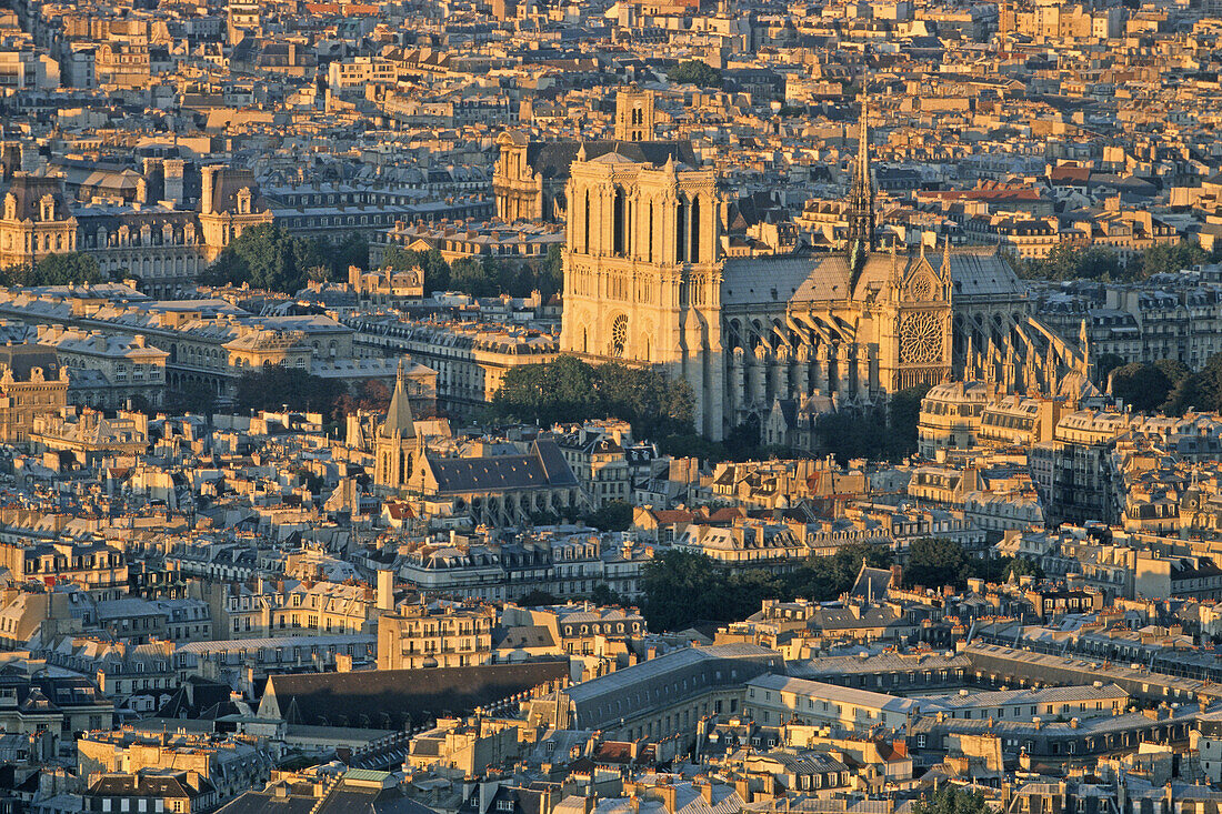 Kathedrale Notre Dame in der Abendsonne, 4. Arrondissement, Paris, Frankreich, Europa