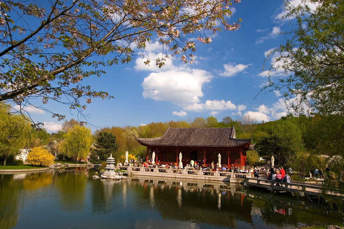 Fühling im chinesischen Garten in Berlin Mazahn , Pavillon