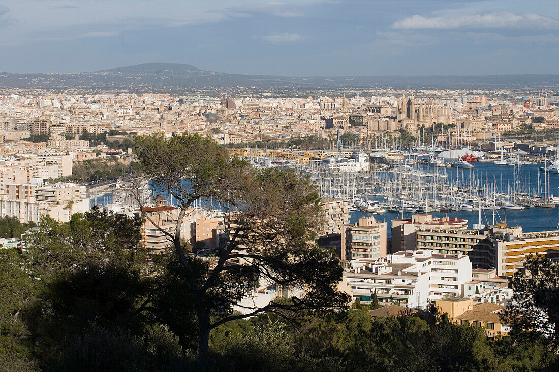 Blick auf Stadt vom Castell de Bellver, Palma, Mallorca, Balearen, Spanien, Europa
