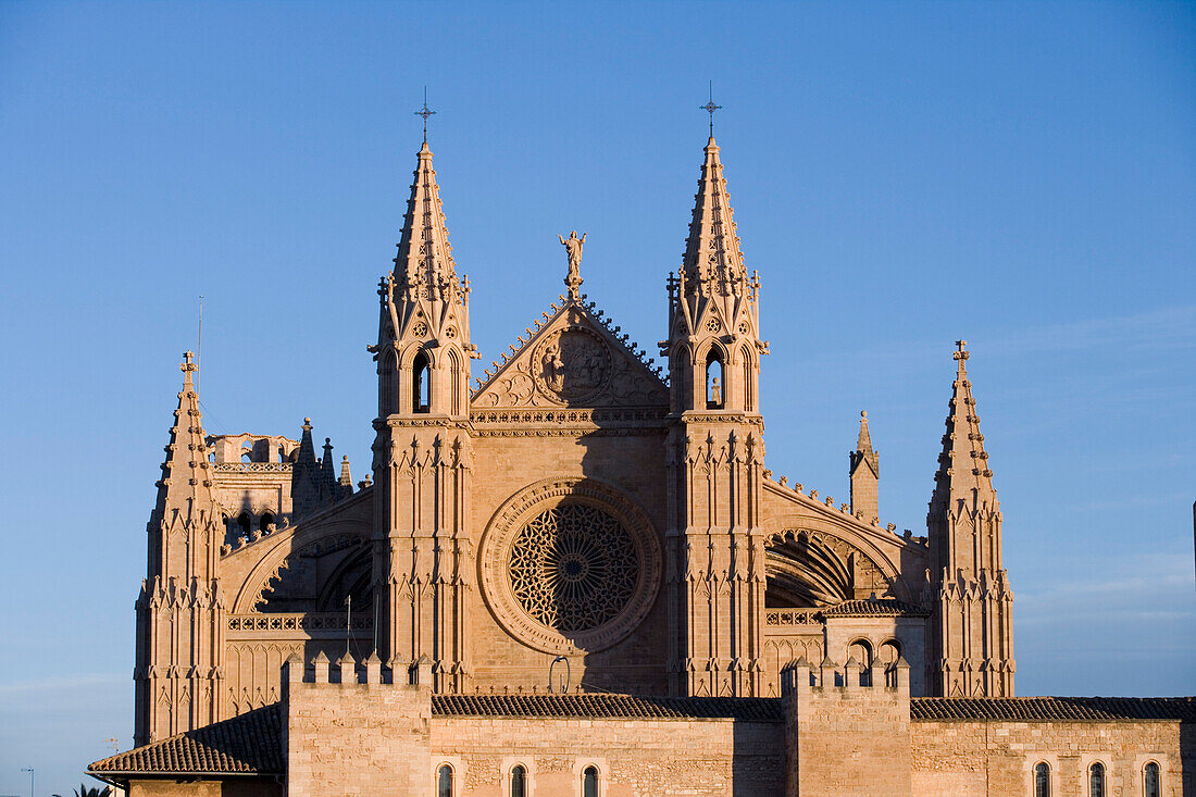 La Seu Kathedrale, Blick von Dachterrasse des Hotel Tres, Palma, Mallorca, Balearen, Spanien, Europa