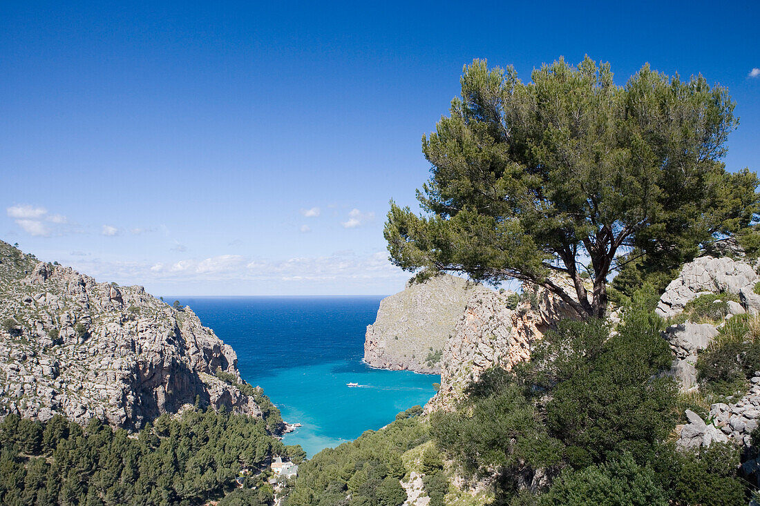 Blick auf Cala de Sa Calobra Bucht, Mallorca, Balearen, Spanien, Europa