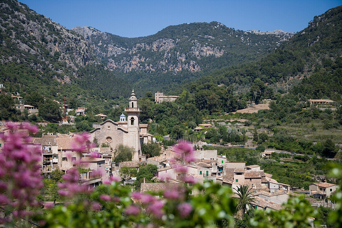 Blick durch Blumen auf Valldemossa, Mallorca, Balearen, Spanien, Europa