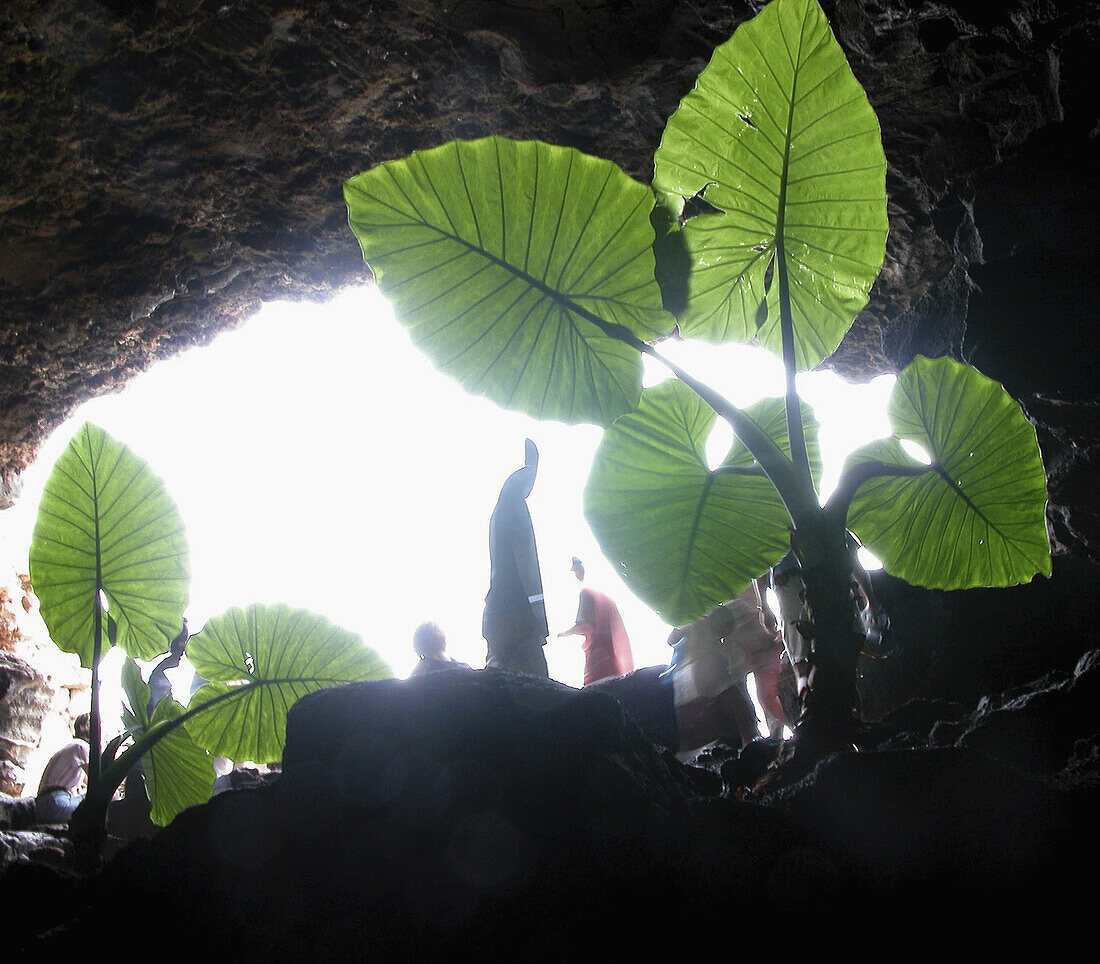 Exit of the Cueva de los Verdes. Lanzarote. Canary Islands. Spain