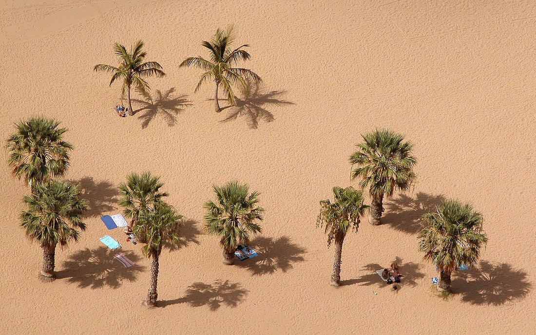 Playa de las Teresitas. Santa Cruz de Tenerife. Tenerife. Canary Islands.