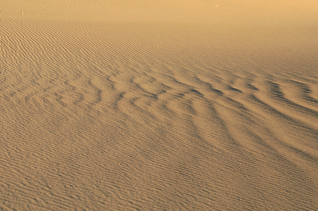 Sand dunes in Death Valley National Park. California. USA