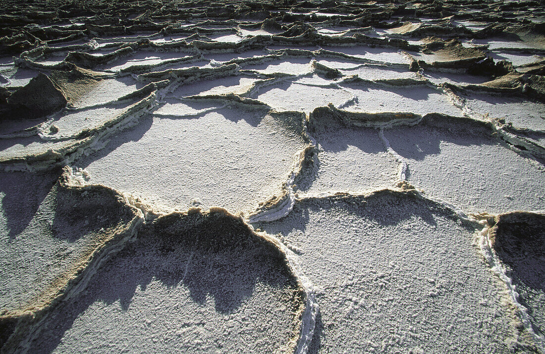 Salt crystal formations near Bad Water. Death Valley National Park. California, USA