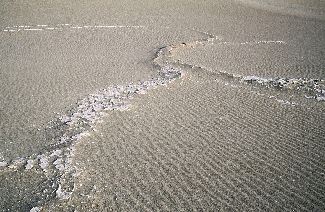 Sand dunes. Death Valley National Park. California. USA.