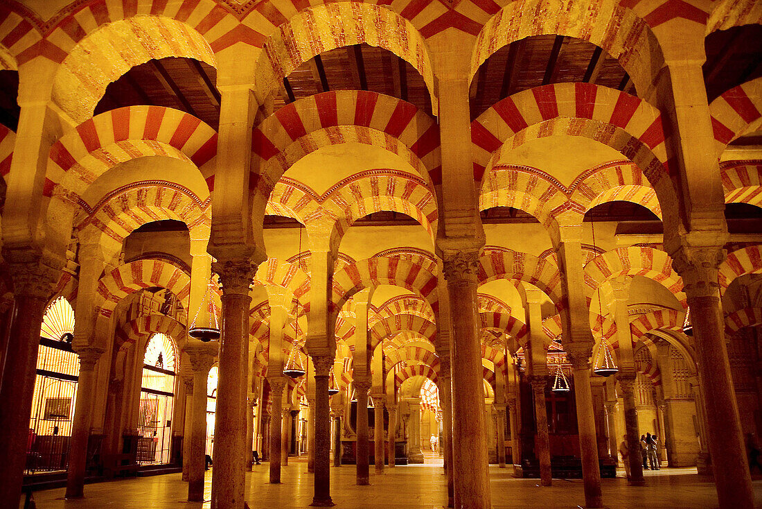 Mosque of Cordoba. Andalusia. Spain