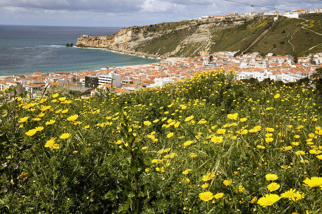 Nazar, Portugal.