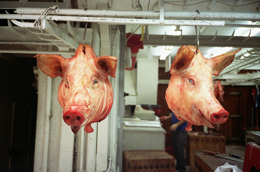 Animal, Animals, Butchers shop, Butchers shops, Color, Colour, Commerce, Dead, Detail, Details, Hang, Hanging, Head, Heads, Horizontal, Indoor, Indoors, Interior, Market, Markets, Pair, Pig, Pigs, Retail, Sell, Selling, Stall, Stalls, Swine, Two, CatV9, L