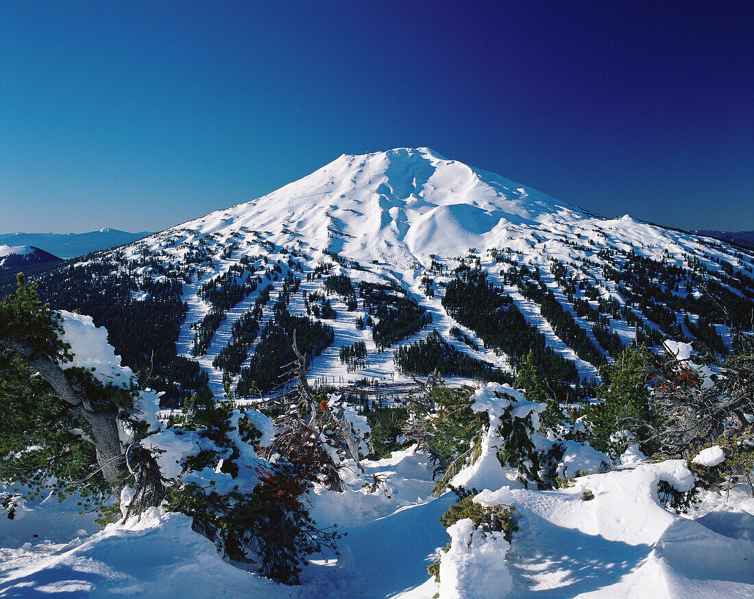 Mount Bachelor Ski Area. Deschutes National Forest. Bend. Oregon. USA