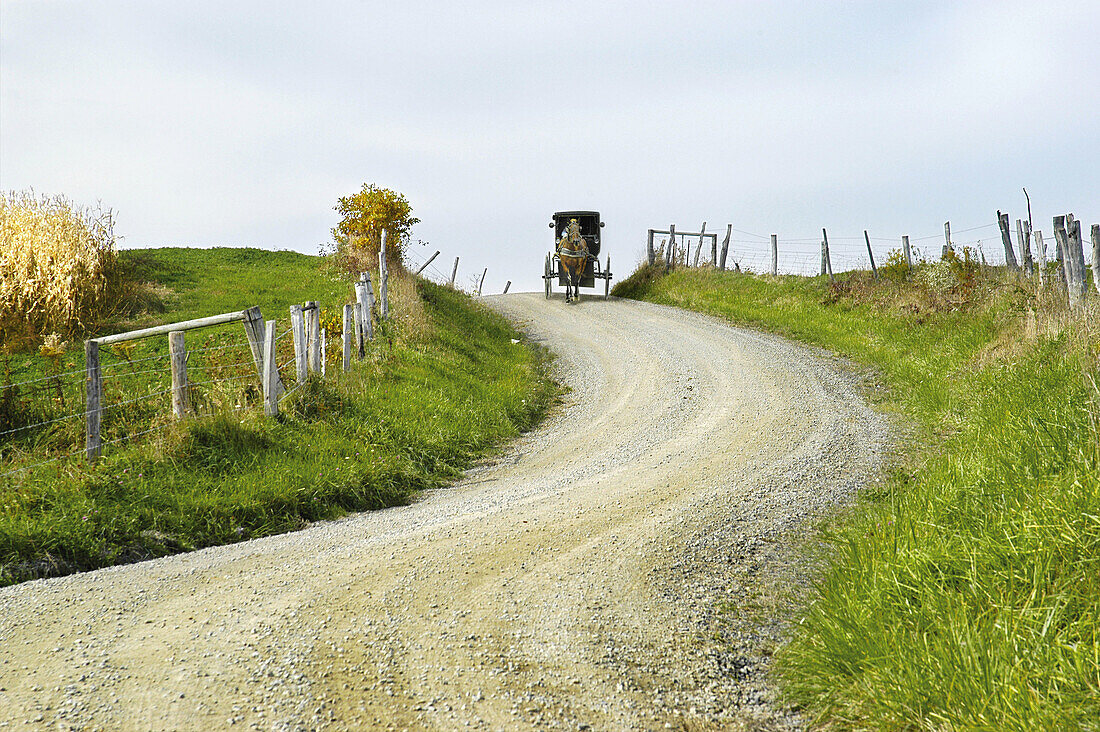 Amish lifestyle. Ohio. USA