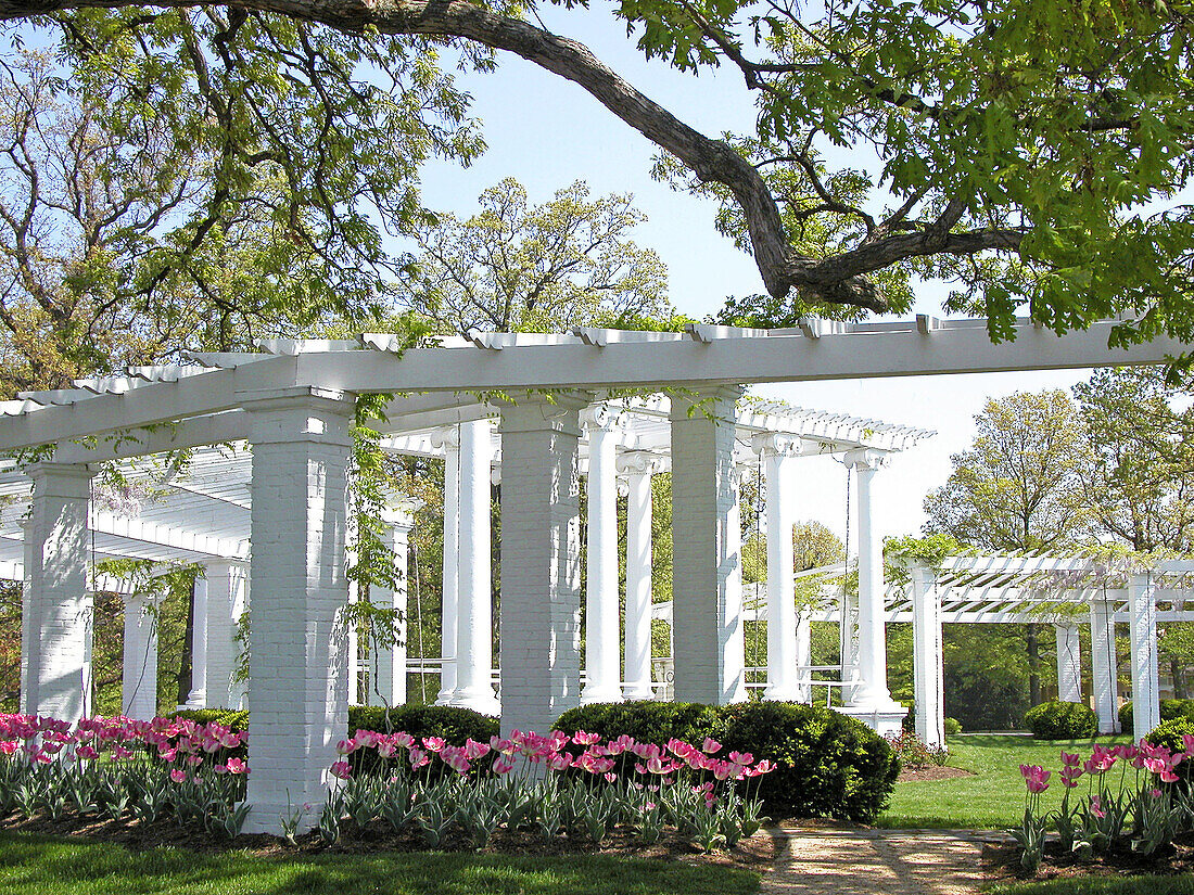 Spring time at Arlington National Cemetery. Washington D.C., USA