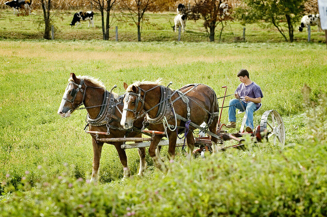 Amish life in Millersburg and Sugrar Creek Holms County Ohio