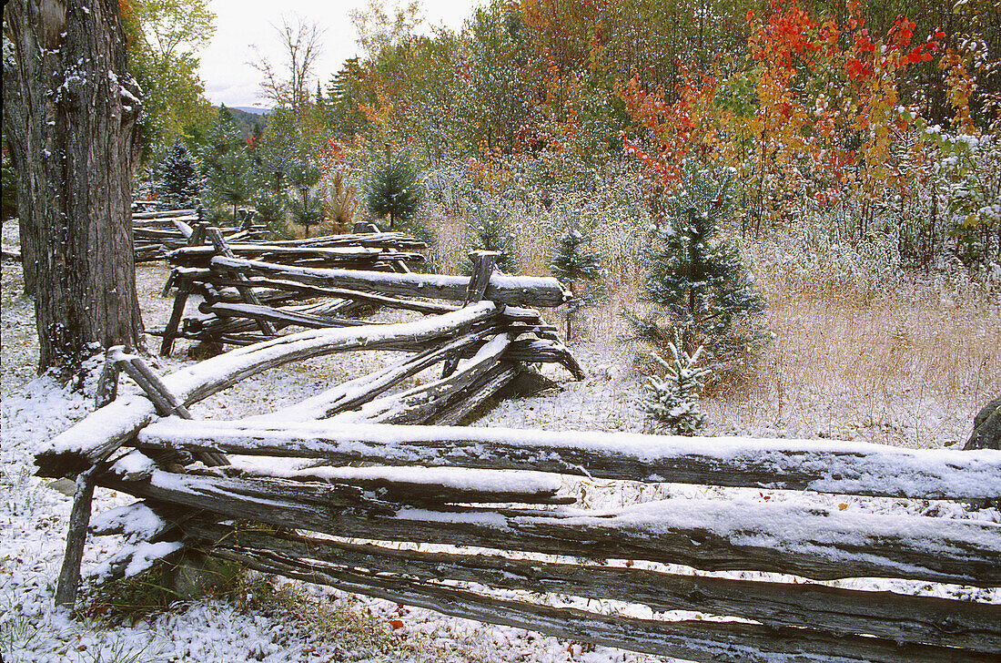 Winter scenic: a light blanket of snow on a split rail fence. Michigan, USA