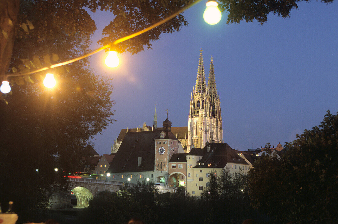 Regensburg Cathedral and tower gate at night, Regensburg, Upper Palatinate, Bavaria, Germany