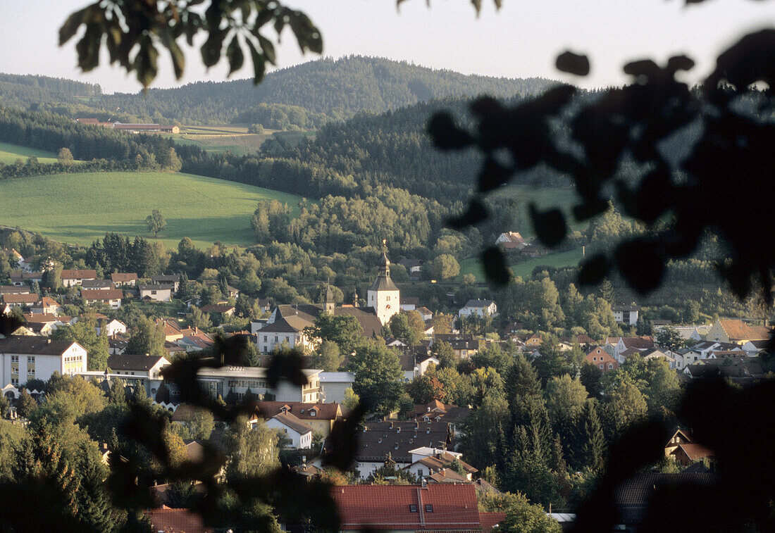 View of the town of Regen, Lower Bavaria, Bavaria, Germany