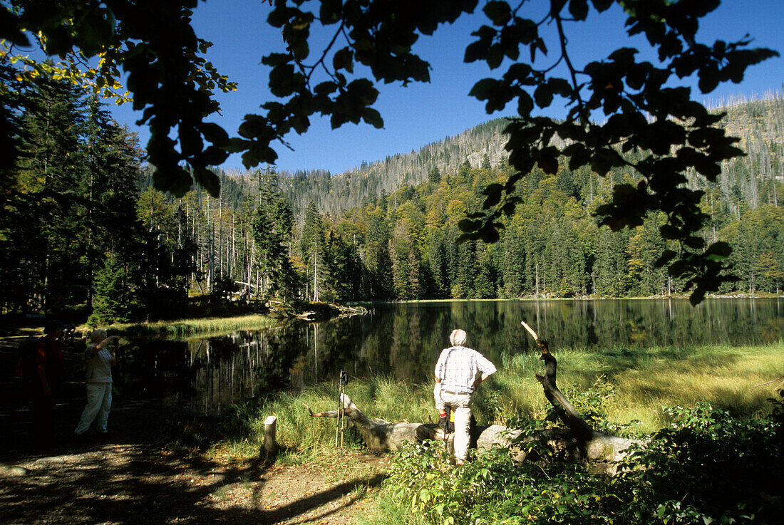 Man hiking near Lake Rachel in the Bavarian Forest National Park, Lower Bavaria, Bavaria, Germany