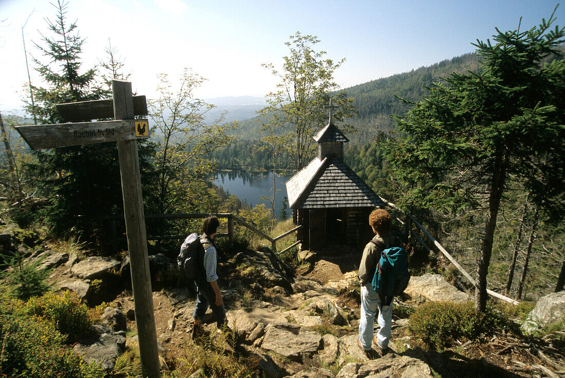 Couple hiking near Lake Rachel in the Bavarian Forest National Park, Lower Bavaria, Bavaria, Germany