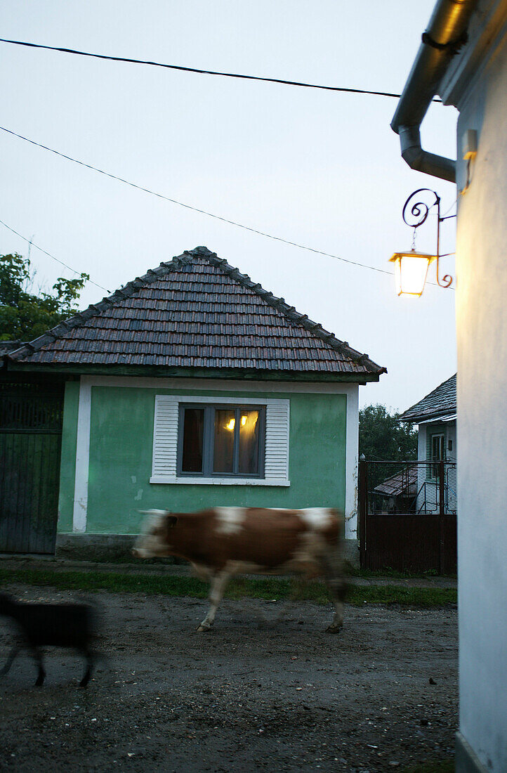 Village in Romania