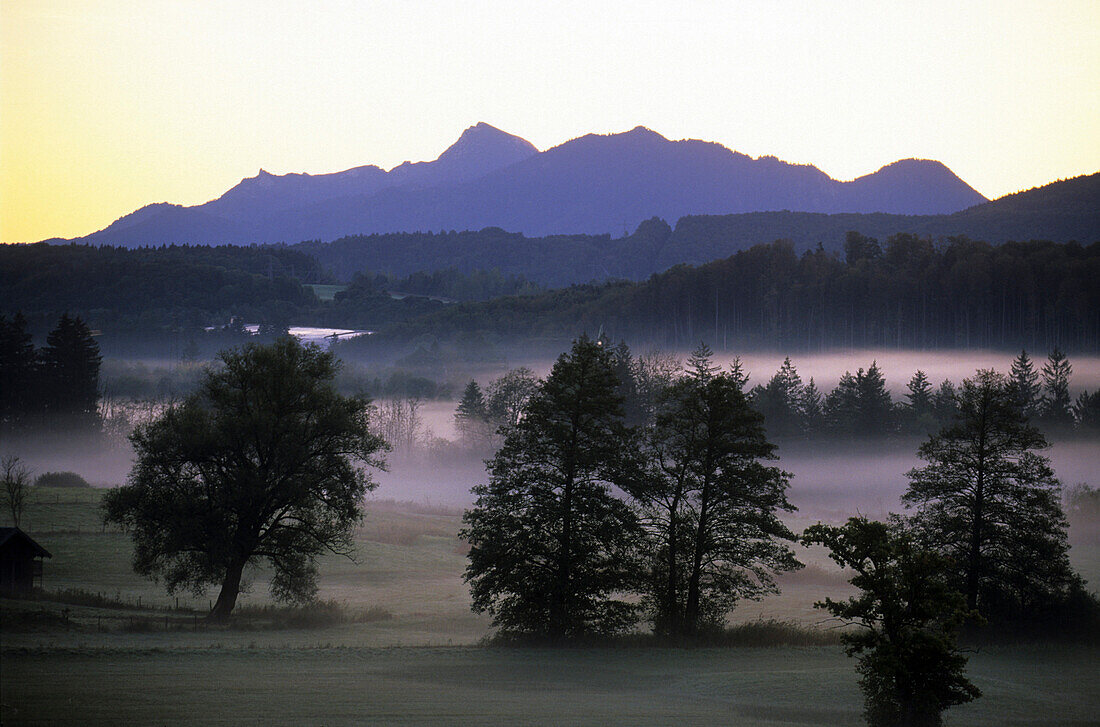 Landschaft im Morgennebel, Benediktenwand im Hintergrund, Hechendorf, Murnau, Bayern, Deutschland, Bayern, Deutschland