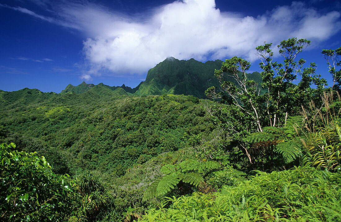 The wild interior of the island of Fatu Iva with Mt. Touaouoho, French Polynesia