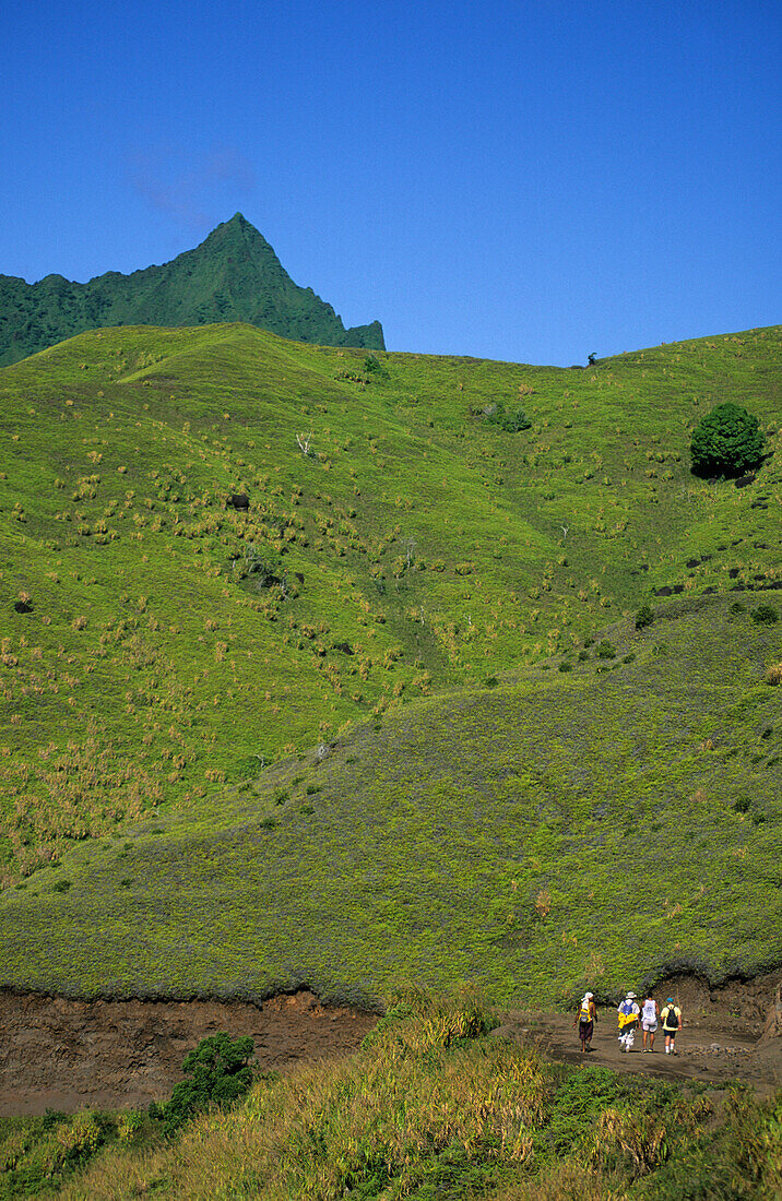 People hiking through the wild interior of the island of Fatu Iva, French Polynesia