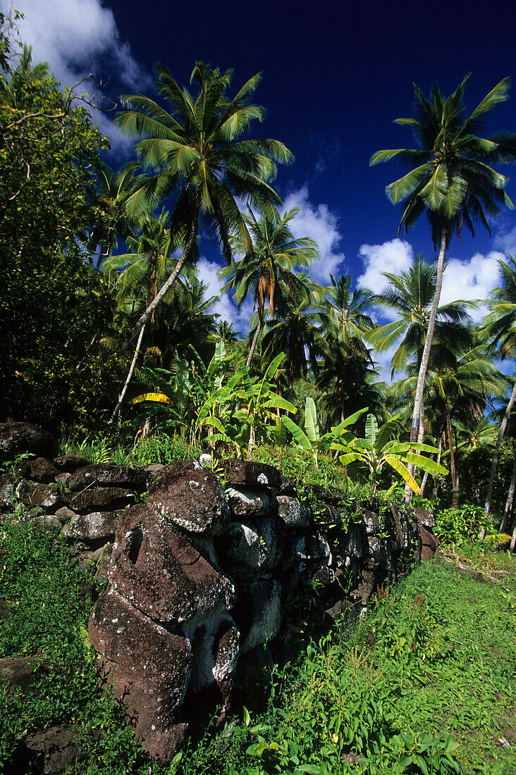 The archaeological site Paeke on the island of Nuku Hiva, French Polynesia