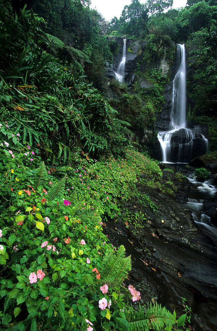 Waterfall and tropical plants in the interior of Viti Levu Island, Fiji Islands