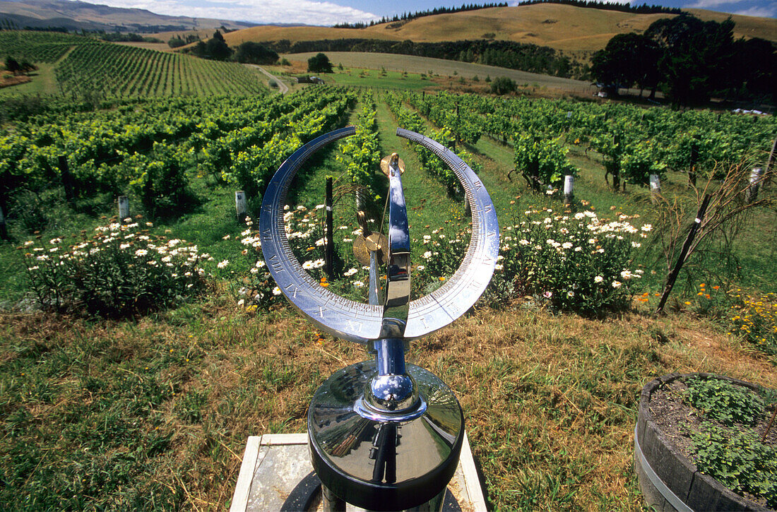 Sundial in front of vineyard in a wine growing district, South Island, New Zealand
