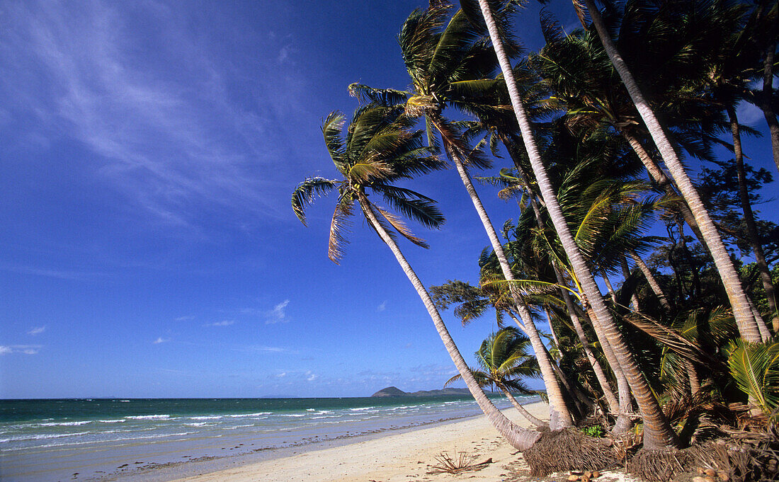 Chili Beach im Iron Range National Park auf der Cape York Halbinsel, Queensland, Australien