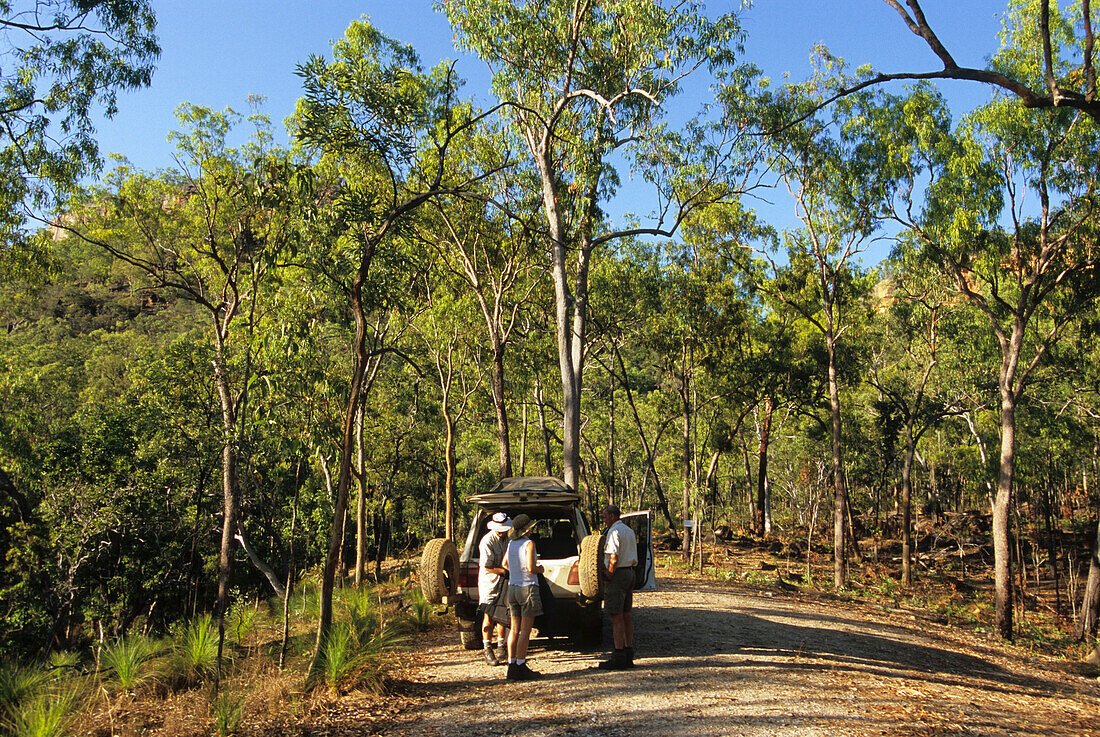 Jeep Safari in Buschland nahe dem Jowalbinna Camp bei Leura, Queensland, Australien