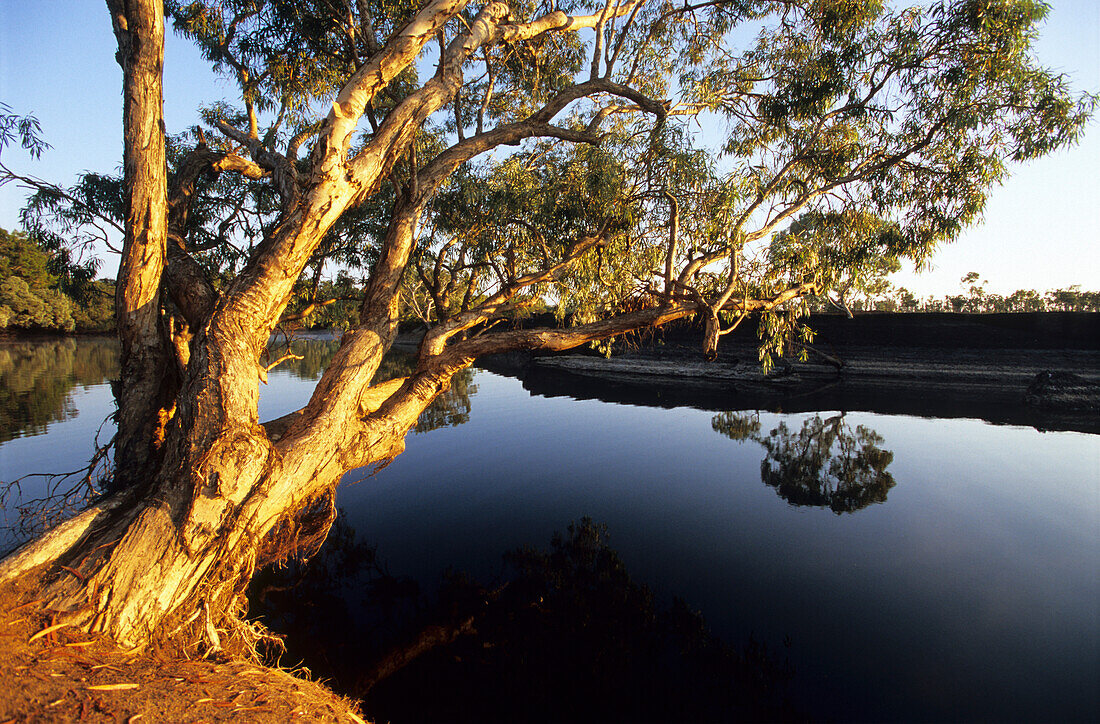 Der Kennedy River im Lakefield National Park, Queensland, Australien