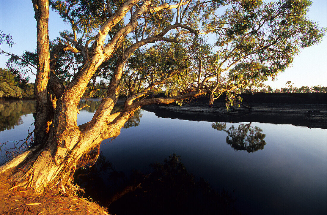 The Kennedy River in Lakefield National Park, Queensland, Australia