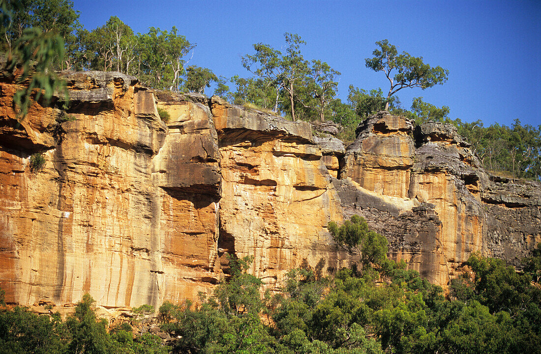 Escarpment near Jowalbinna Camp, Queensland, Australia