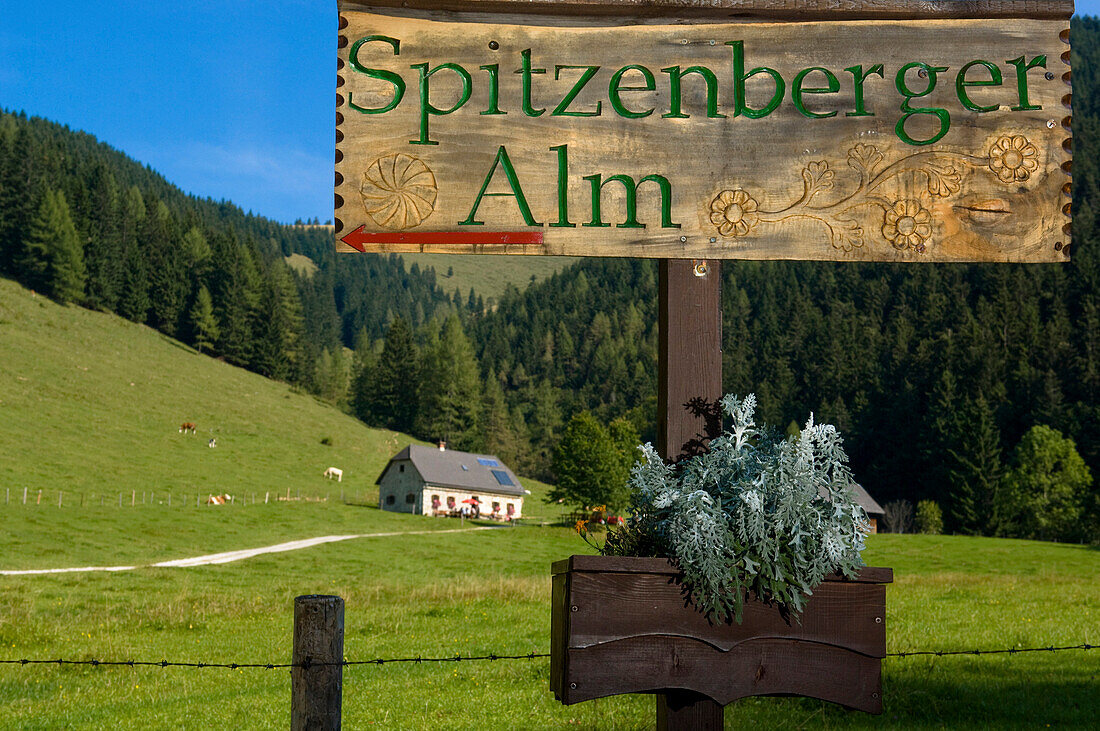 Spitzenberger Alm am Hengstpass, Oberösterreich, Österreich